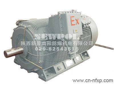 YB2系列高壓隔爆型三相異步電動(dòng)機(jī)