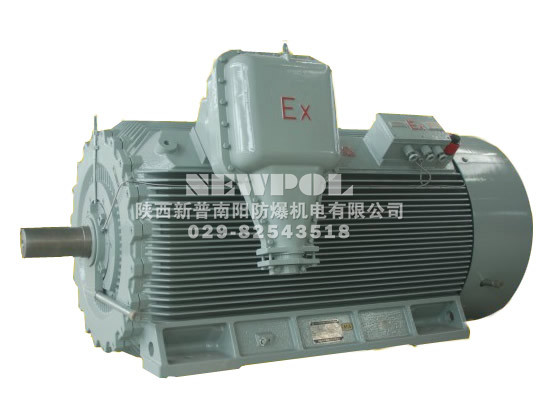 YBX3系列高效率高壓隔爆型三相異步電動(dòng)機(jī)