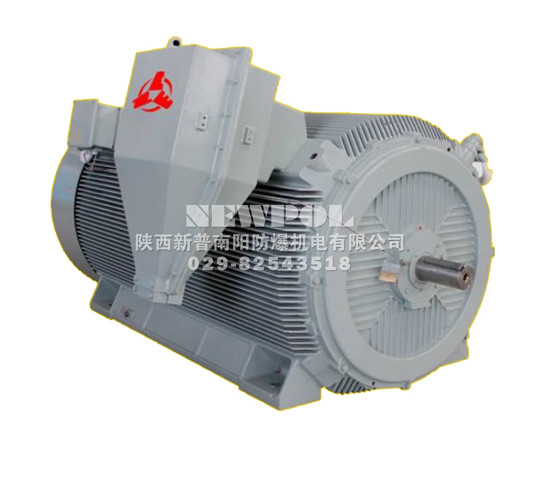 YBXn系列隔爆型高壓高效率三相異步電動(dòng)機(jī)/></a><p align=