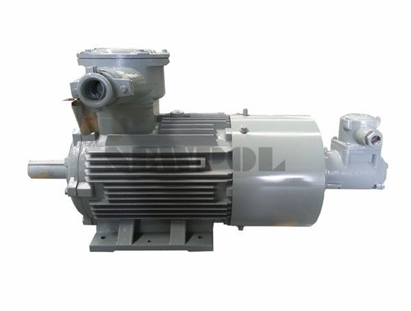 YBBP系列低壓隔爆型變頻調(diào)速三相異步電動(dòng)機(jī)/></a><p align=