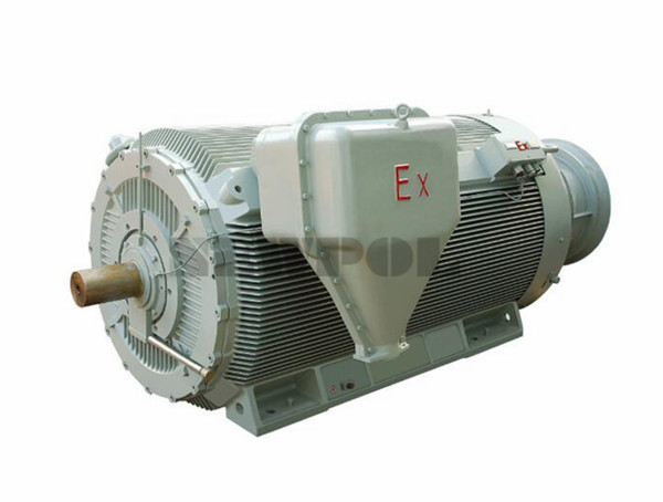 YBBP系列高壓隔爆型變頻調(diào)速三相異步電動(dòng)機(jī)